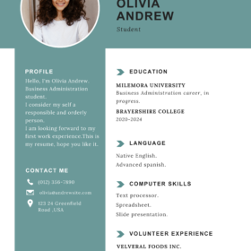 Simple CV Template