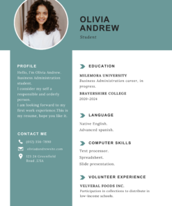Simple CV Template