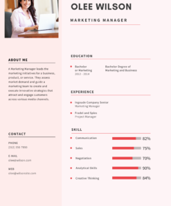 Simple CV Template
