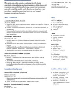 PROFESSIONAL CV
