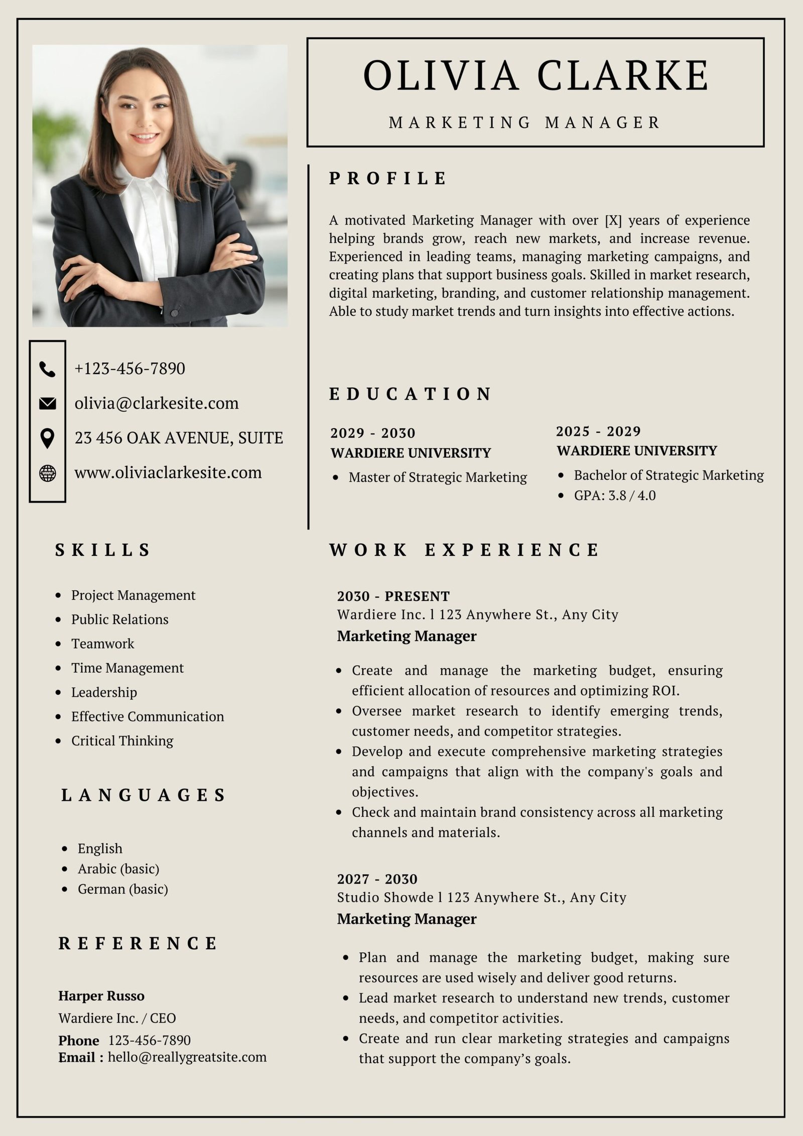 Professional cv 12