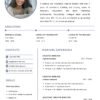 Professional cv 14
