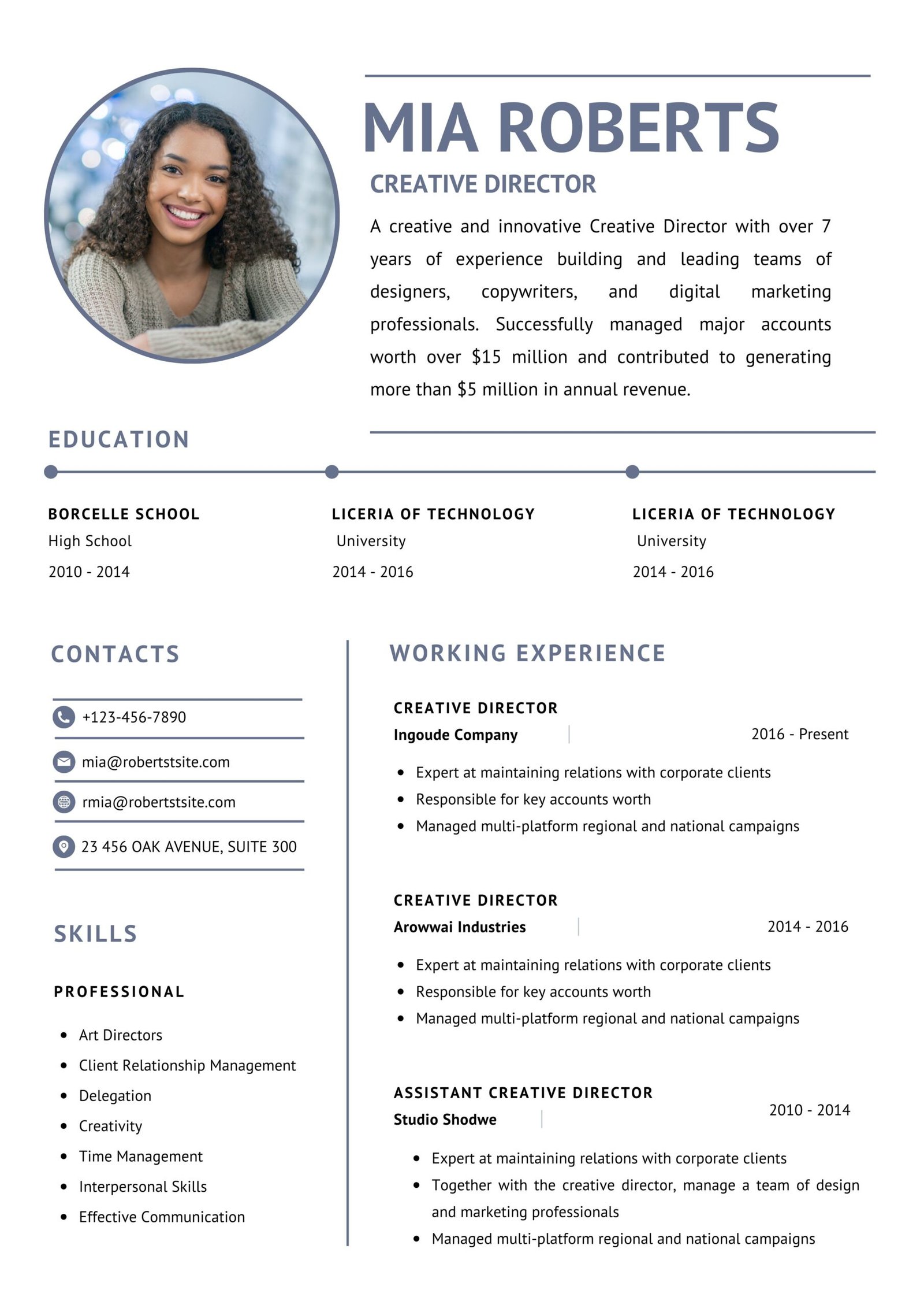 Professional cv 14