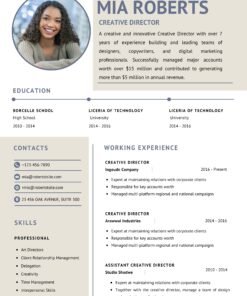 Professional cv 17