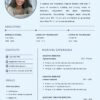 Professional cv 16