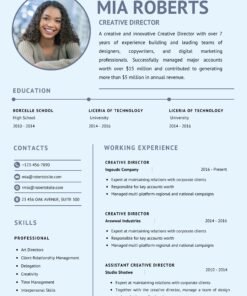Professional cv 16