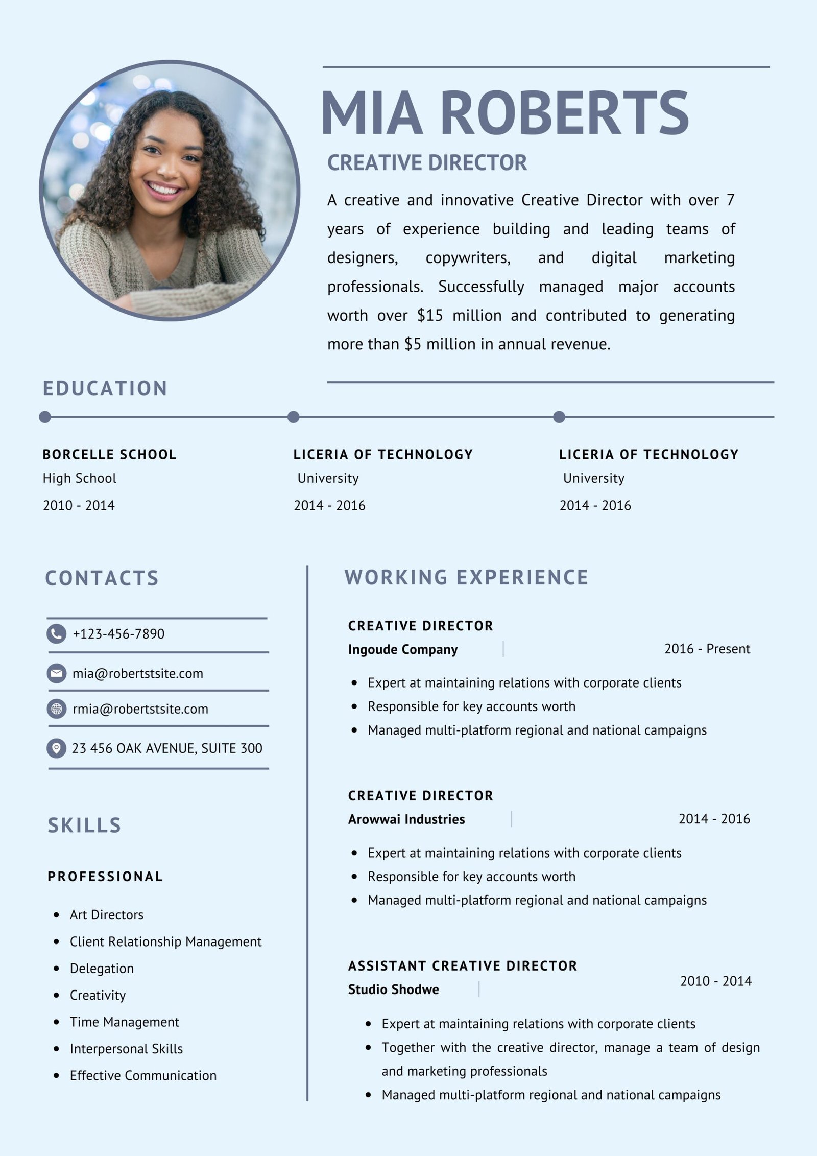 Professional cv 16