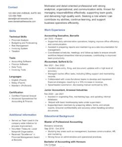 Professional cv 2