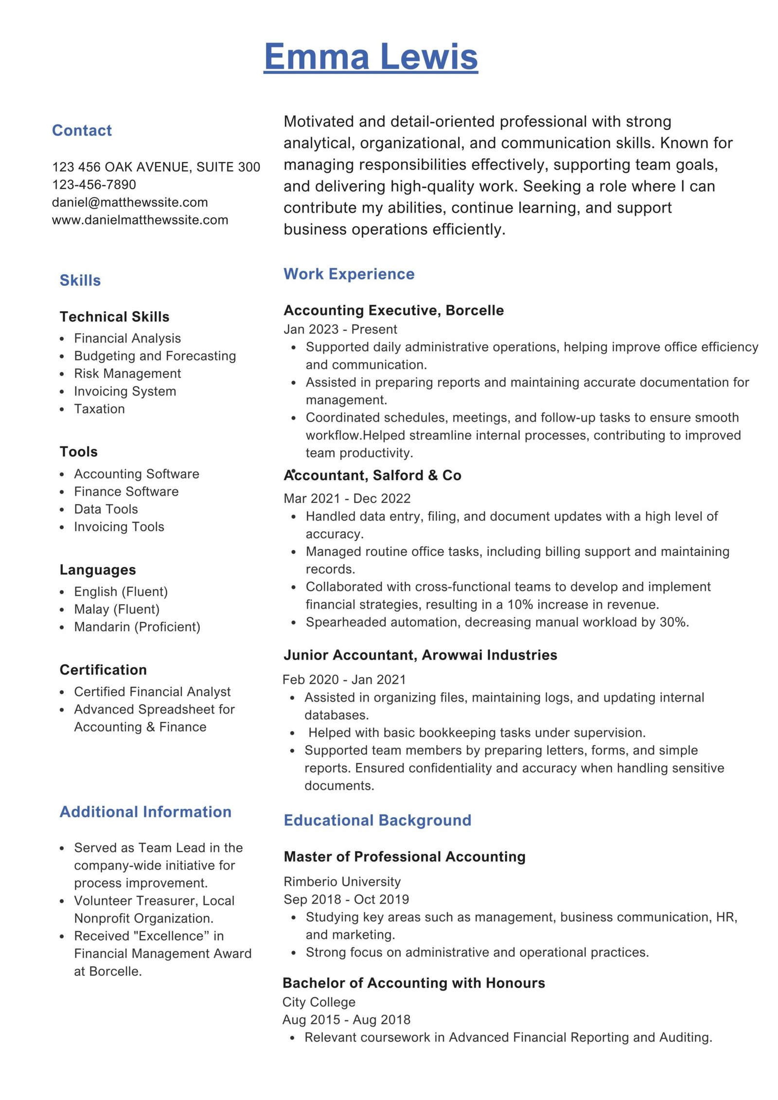 Professional cv 2