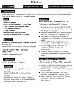 Professional cv 21