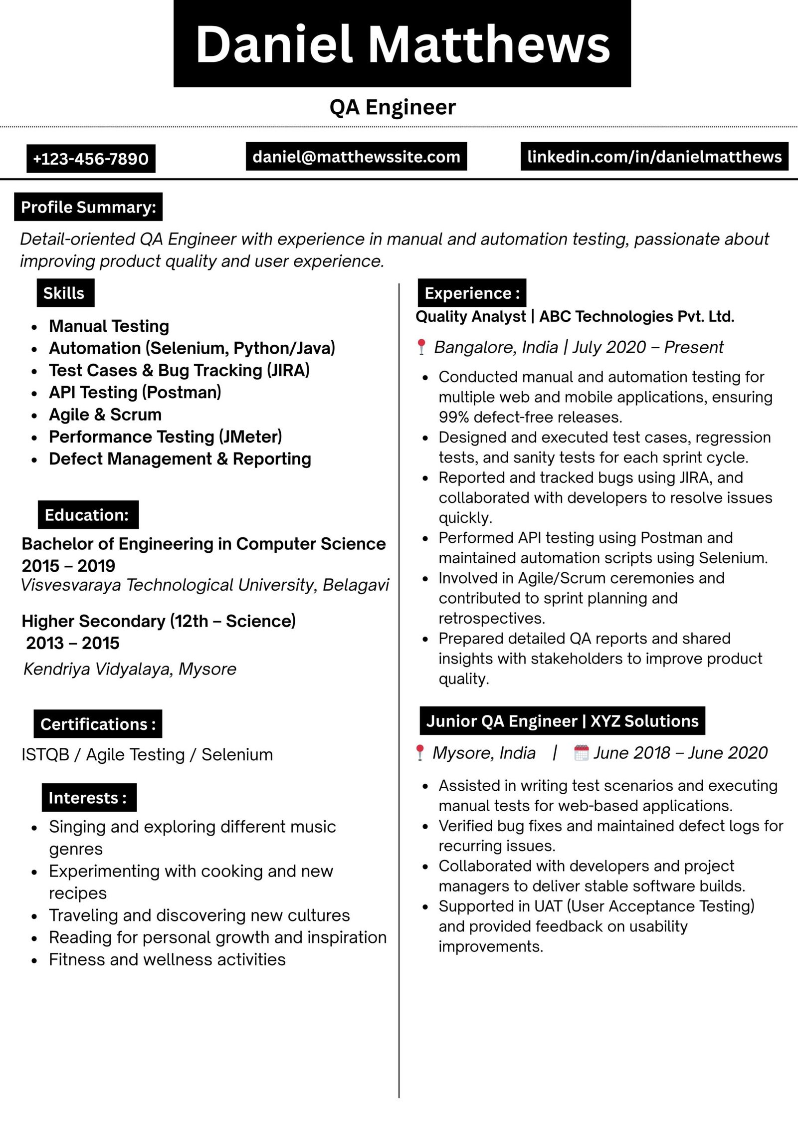 Professional cv 21
