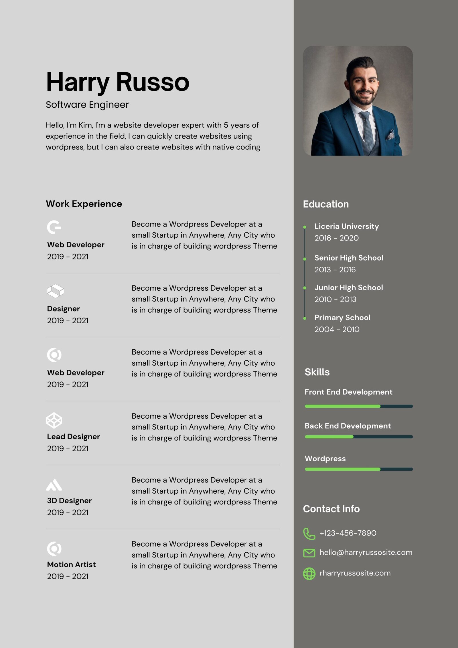 Professional cv 32