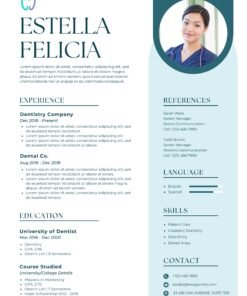 Professional cv 36