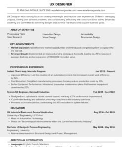 Professional cv 4